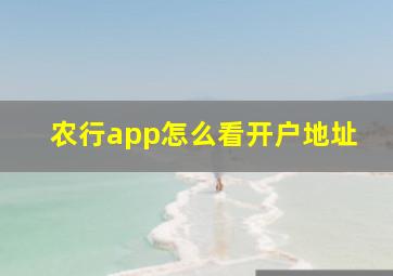 农行app怎么看开户地址