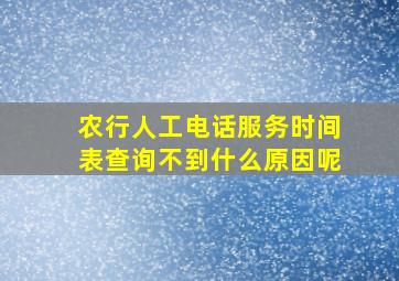 农行人工电话服务时间表查询不到什么原因呢