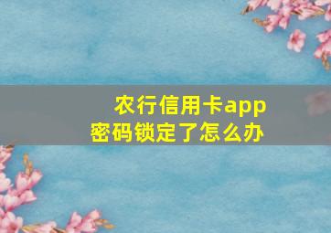 农行信用卡app密码锁定了怎么办