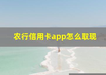 农行信用卡app怎么取现