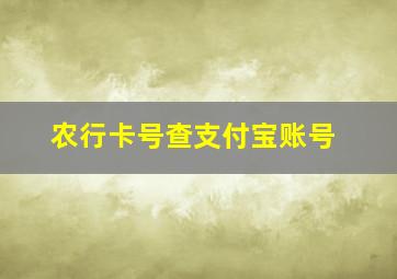 农行卡号查支付宝账号