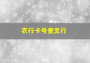 农行卡号查支行