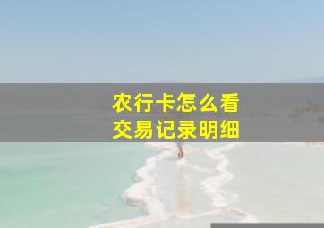 农行卡怎么看交易记录明细