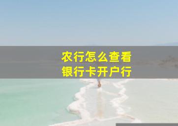 农行怎么查看银行卡开户行