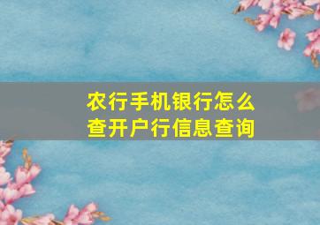 农行手机银行怎么查开户行信息查询