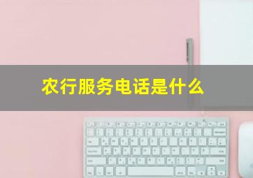 农行服务电话是什么