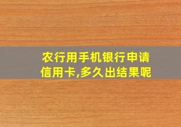 农行用手机银行申请信用卡,多久出结果呢