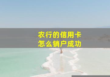 农行的信用卡怎么销户成功