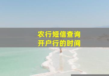 农行短信查询开户行的时间