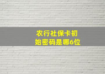 农行社保卡初始密码是哪6位