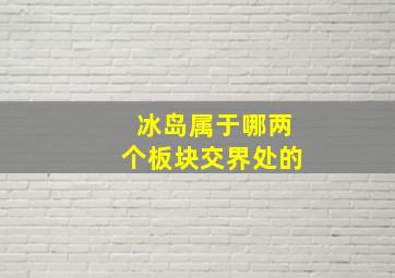 冰岛属于哪两个板块交界处的