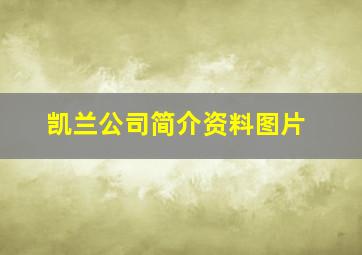 凯兰公司简介资料图片