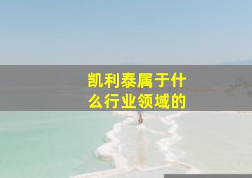 凯利泰属于什么行业领域的