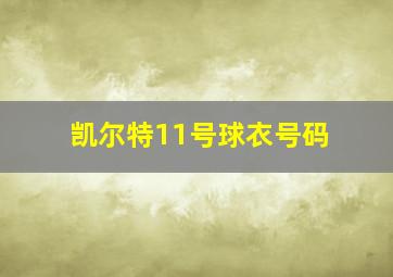 凯尔特11号球衣号码