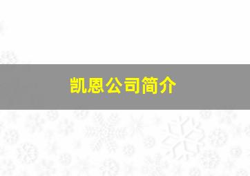 凯恩公司简介