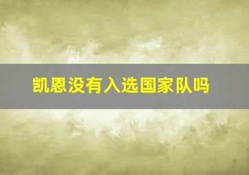 凯恩没有入选国家队吗