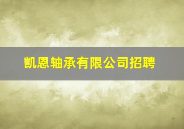 凯恩轴承有限公司招聘