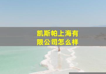 凯斯帕上海有限公司怎么样