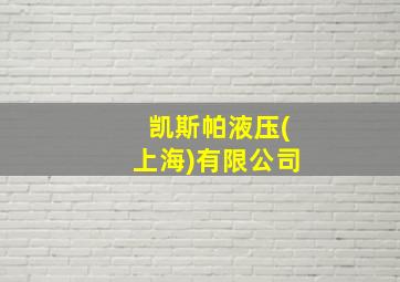 凯斯帕液压(上海)有限公司