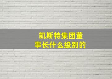 凯斯特集团董事长什么级别的