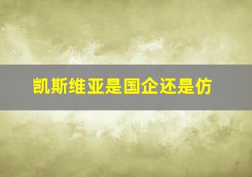 凯斯维亚是国企还是仿