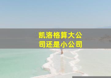 凯洛格算大公司还是小公司