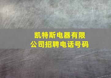 凯特斯电器有限公司招聘电话号码