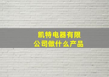 凯特电器有限公司做什么产品