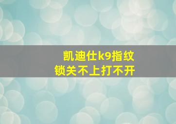 凯迪仕k9指纹锁关不上打不开