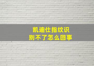 凯迪仕指纹识别不了怎么回事