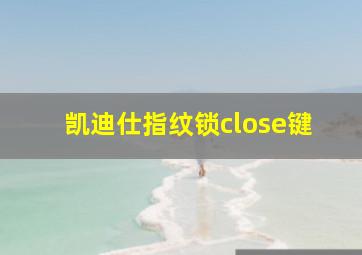 凯迪仕指纹锁close键