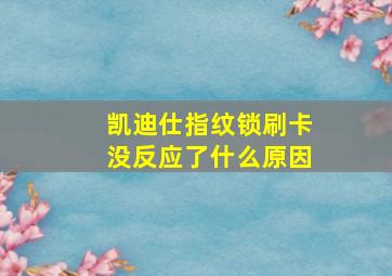 凯迪仕指纹锁刷卡没反应了什么原因