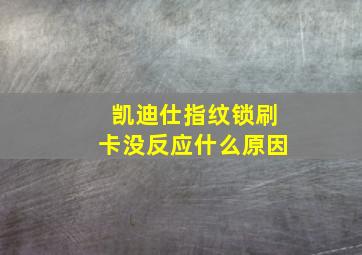 凯迪仕指纹锁刷卡没反应什么原因