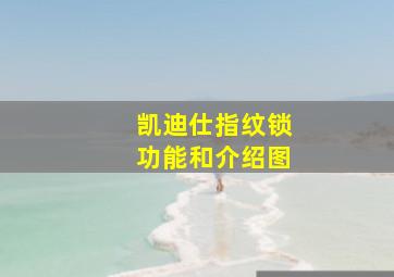 凯迪仕指纹锁功能和介绍图