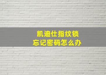 凯迪仕指纹锁忘记密码怎么办