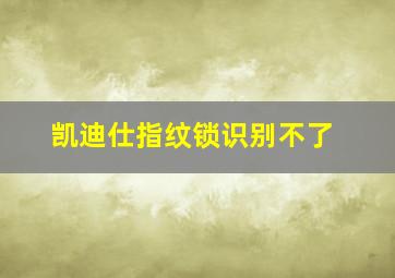 凯迪仕指纹锁识别不了