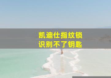 凯迪仕指纹锁识别不了钥匙