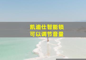 凯迪仕智能锁可以调节音量