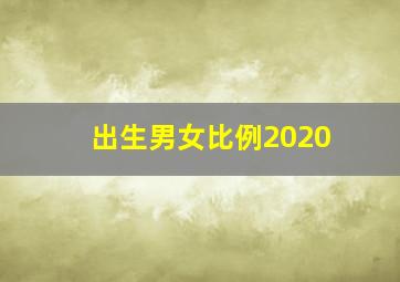 出生男女比例2020