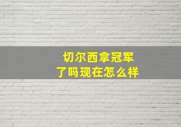 切尔西拿冠军了吗现在怎么样