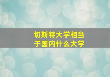 切斯特大学相当于国内什么大学