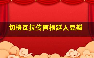 切格瓦拉传阿根廷人豆瓣