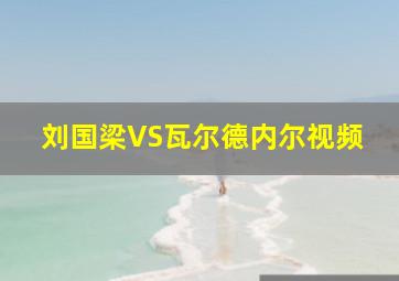 刘国梁VS瓦尔德内尔视频