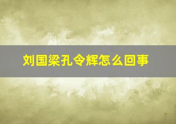 刘国梁孔令辉怎么回事