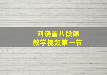 刘晓蕾八段锦教学视频第一节