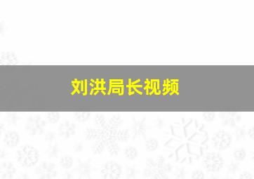 刘洪局长视频