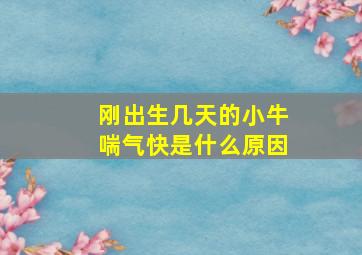 刚出生几天的小牛喘气快是什么原因