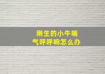 刚生的小牛喘气呼呼响怎么办