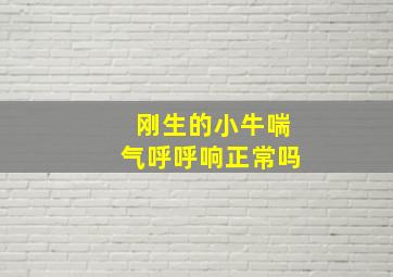 刚生的小牛喘气呼呼响正常吗