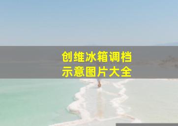 创维冰箱调档示意图片大全